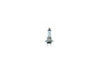 Carpoint Premium halogeenlamp H7 12V 55W