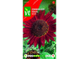 VT Red Sun zonnebloem hoog