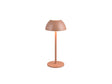 Trio Ricardo lampe de table LED 2W moka