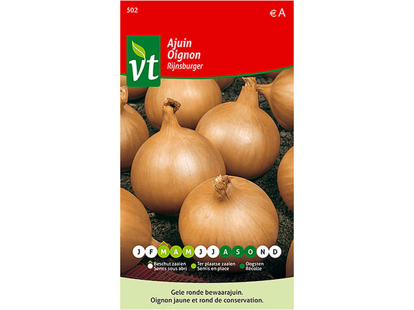 VT Rijnsburger ajuin geel