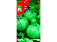 VT Ronde de Nice courgette