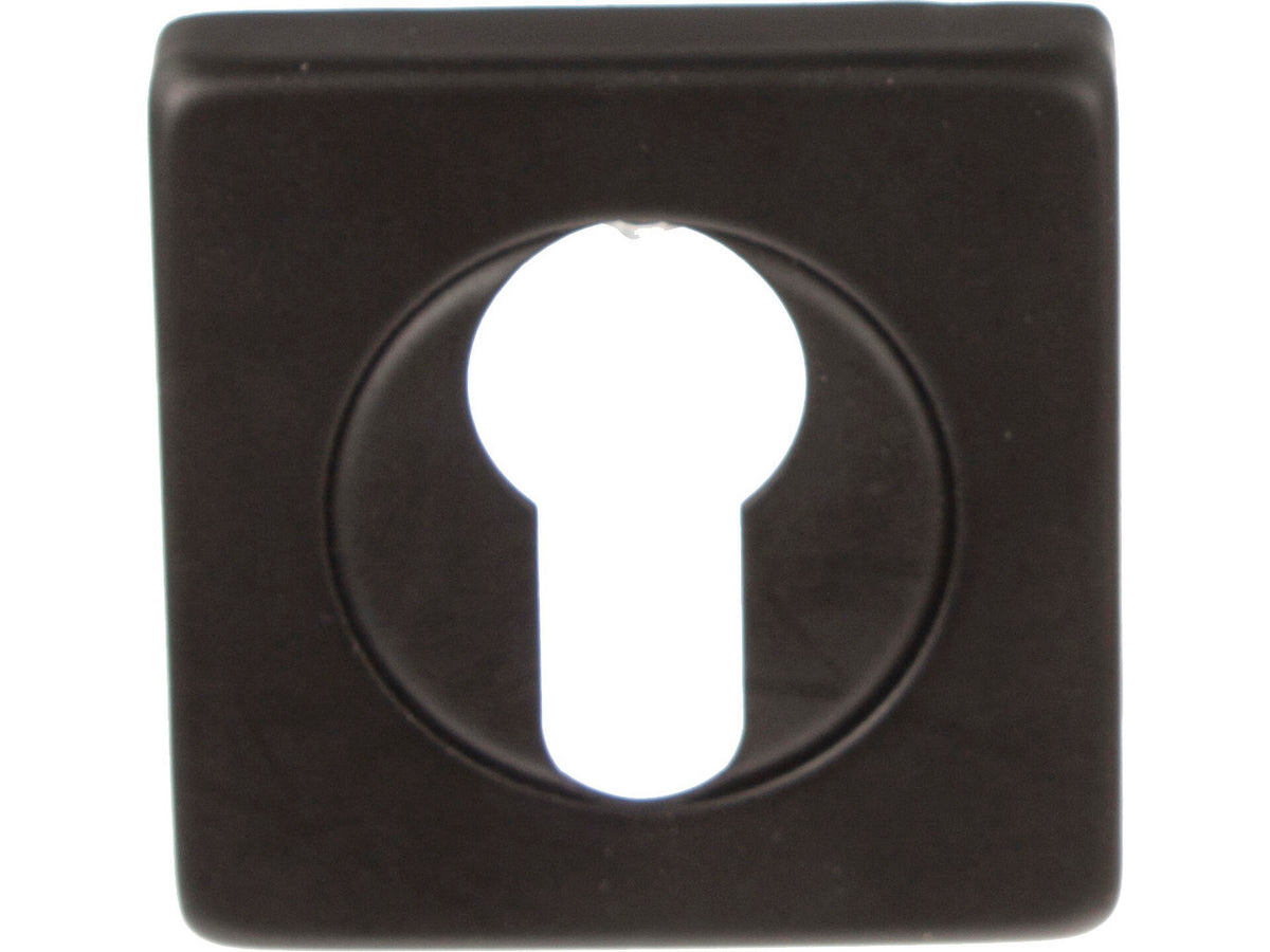 Linea Bertomani Sleutelrozet 50x50 mm aluminium zwart mat