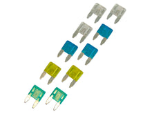 Carpoint Steekzekering mini 10 stuks