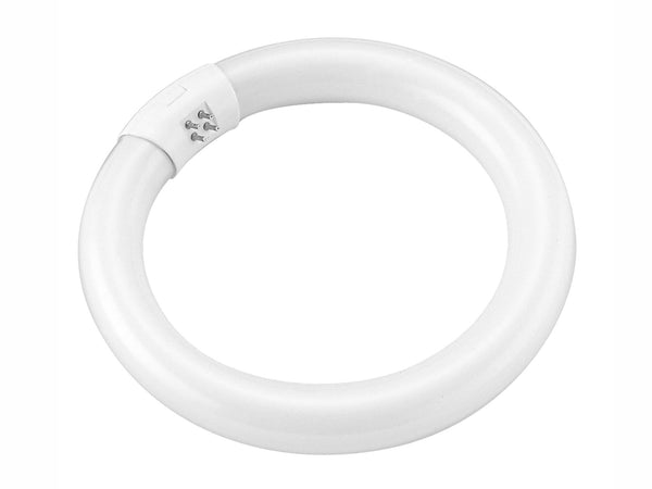 Prolight TL-lamp T9 22W 215mm koel wit
