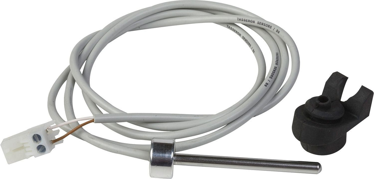 Rookgasthermostaat remeha