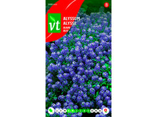 VT alysse bleu