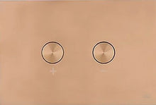PLAQUE DE COMMANDE 2 TOUCHES BLINK PNEUMATIQUE CUIVRE