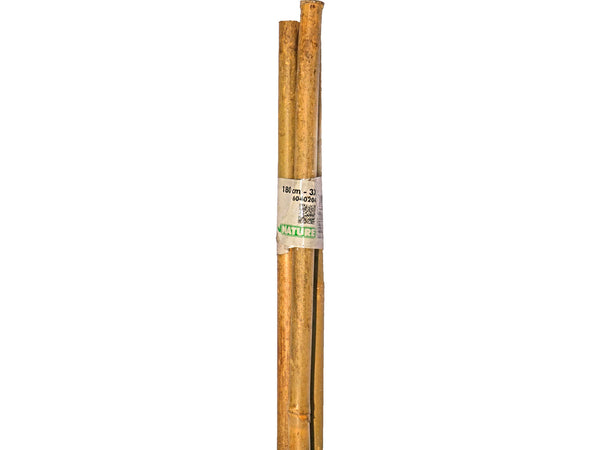 Nature tuteur bambou 180cm 3 pièces