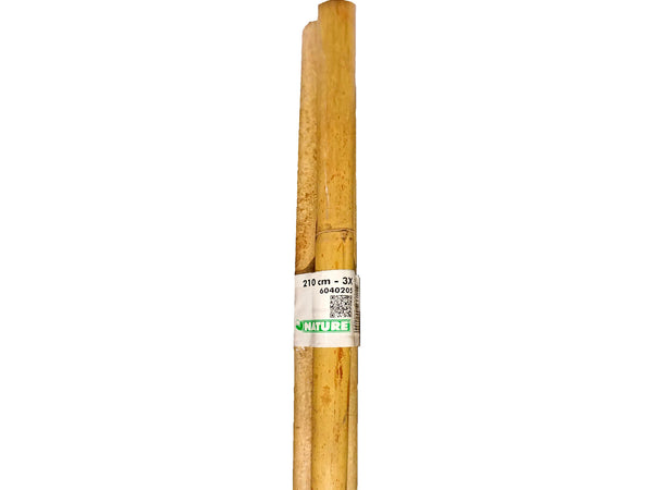 Nature tuteur bambou 210cm 3 pièces