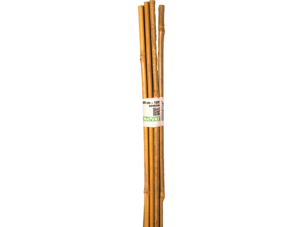 Nature tuteur bambou 60cm 10 pièces