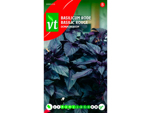 VT basilicum rood