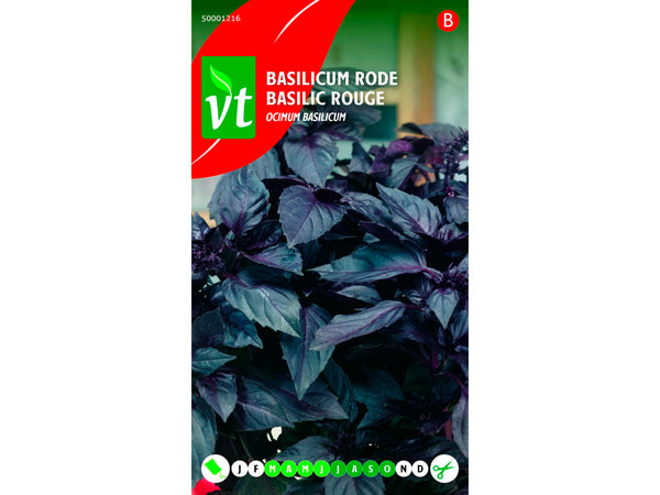 VT basilicum rood