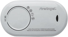 Co-detector 10 jaar met batterij