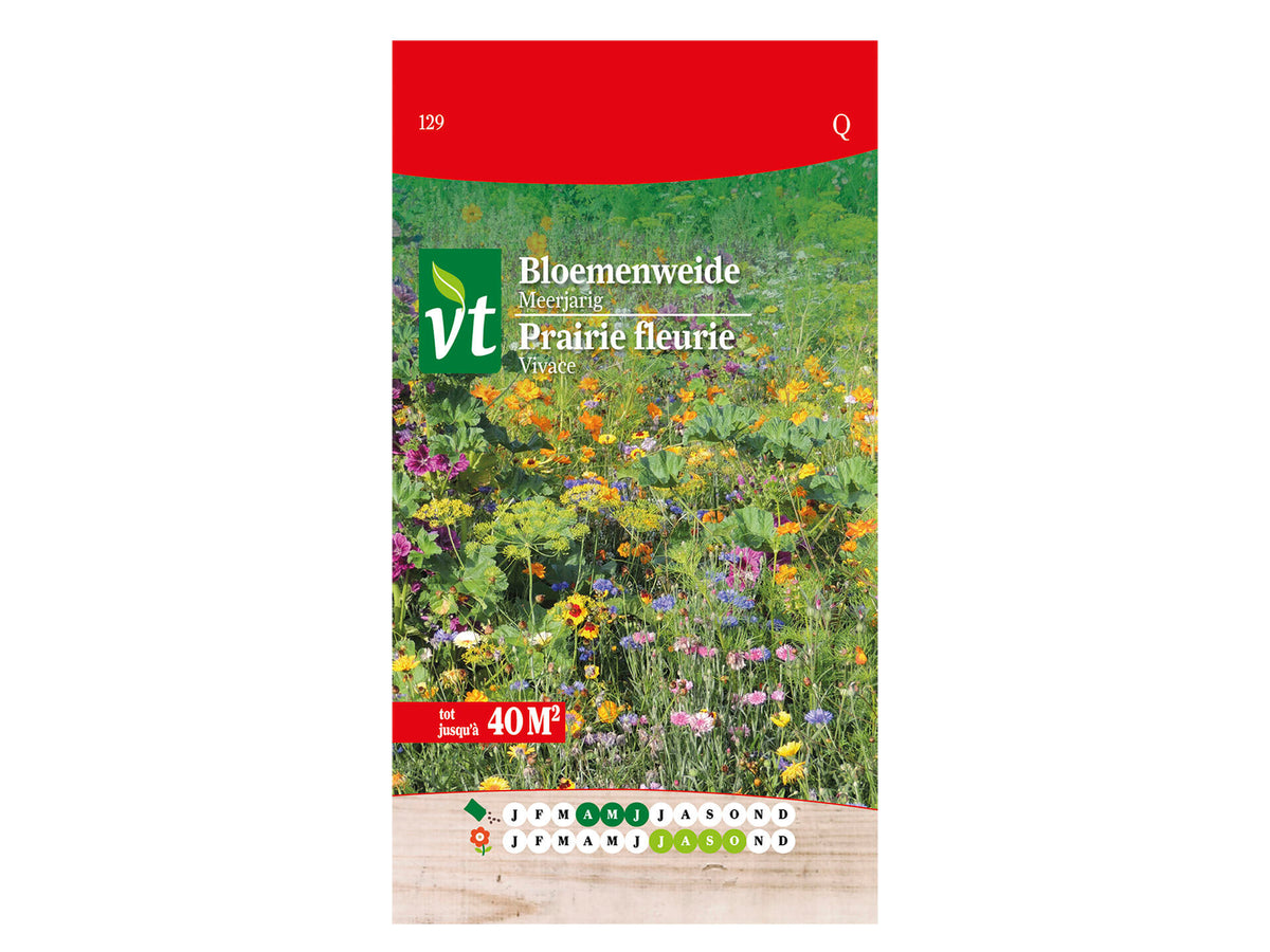 VT bloemenweide meerjarig 80g