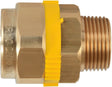 PLT GAZ MANCHON FILETE PAKTERMO DN25-3/4"M