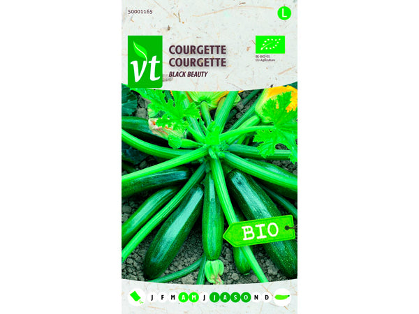 VT courgette black beauty bio