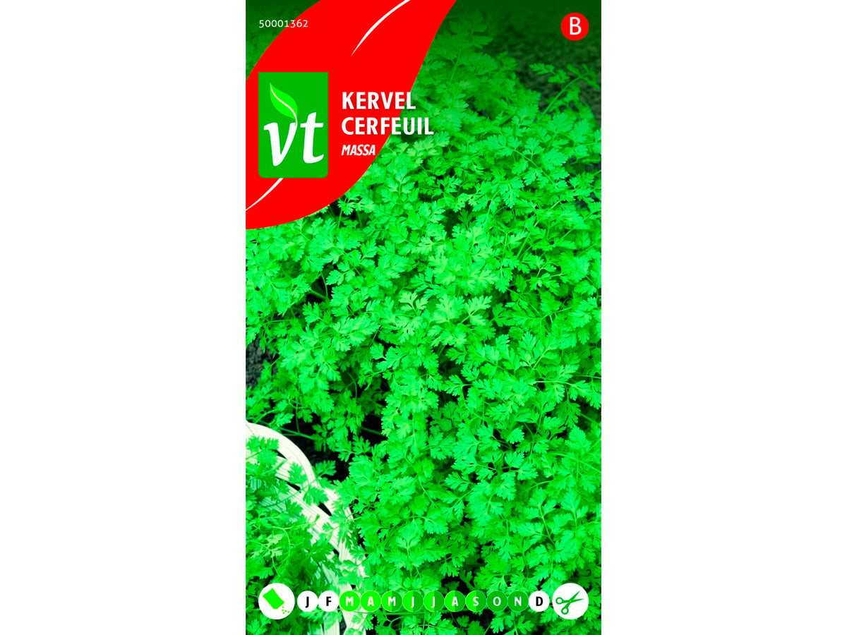 VT gewone kervel, groentenzaden — SKU COLOS-1057107, EAN 5411266405204