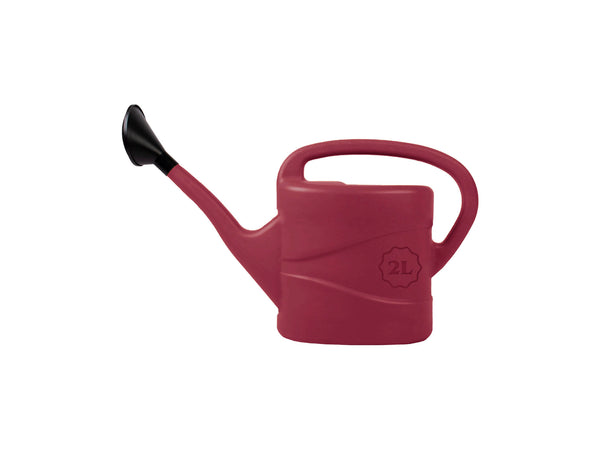 Talen Tools arrosoir 2l lie-de-vin