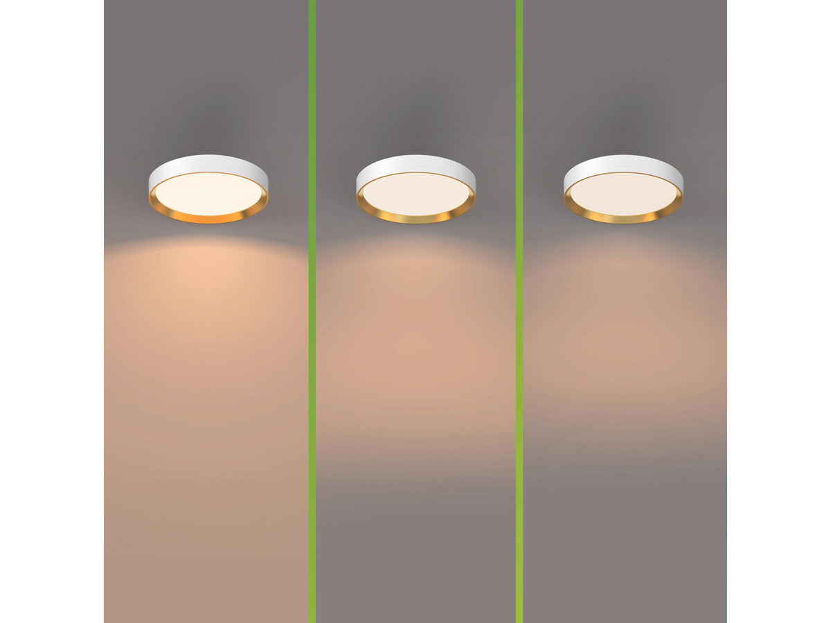 Philips Hanno LED plafondlamp rond 24W wit/goud