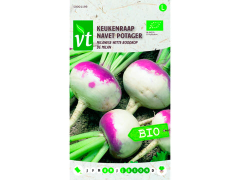 VT keukenraap Milanese witte roodkop bio