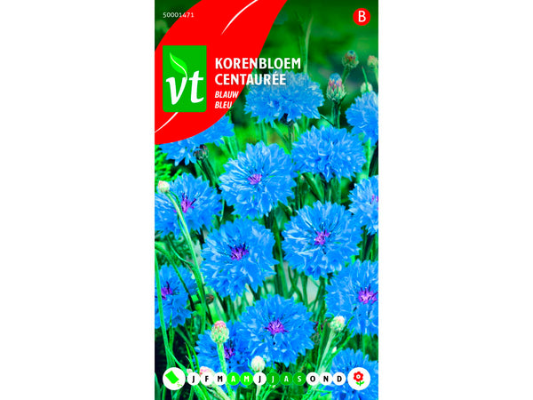 VT korenbloem blauw