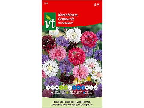 VT korenbloem multicolor