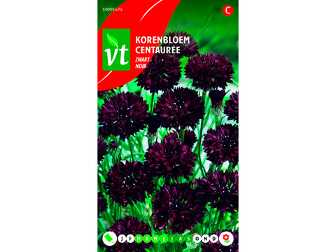 VT korenbloem zwart