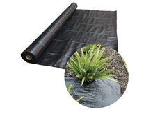 worteldoek 4.2x100 m 100 g/m²