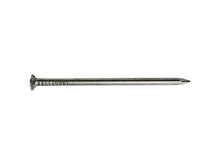Pgb-fasteners nagels met platte kop 2,4x50 mm 1kg