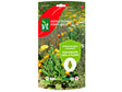 VT fleurs utiles contre les pucerons