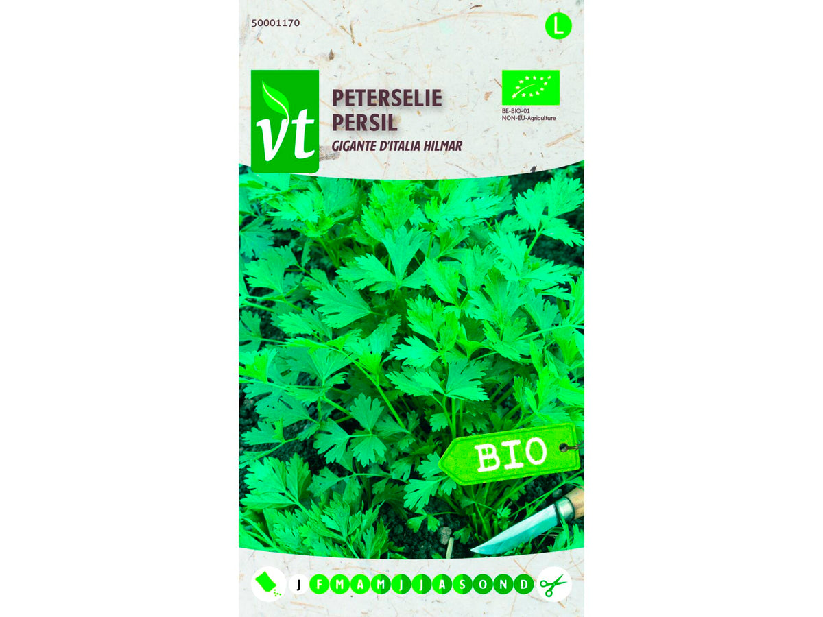 VT peterselie gigante d'italia bio