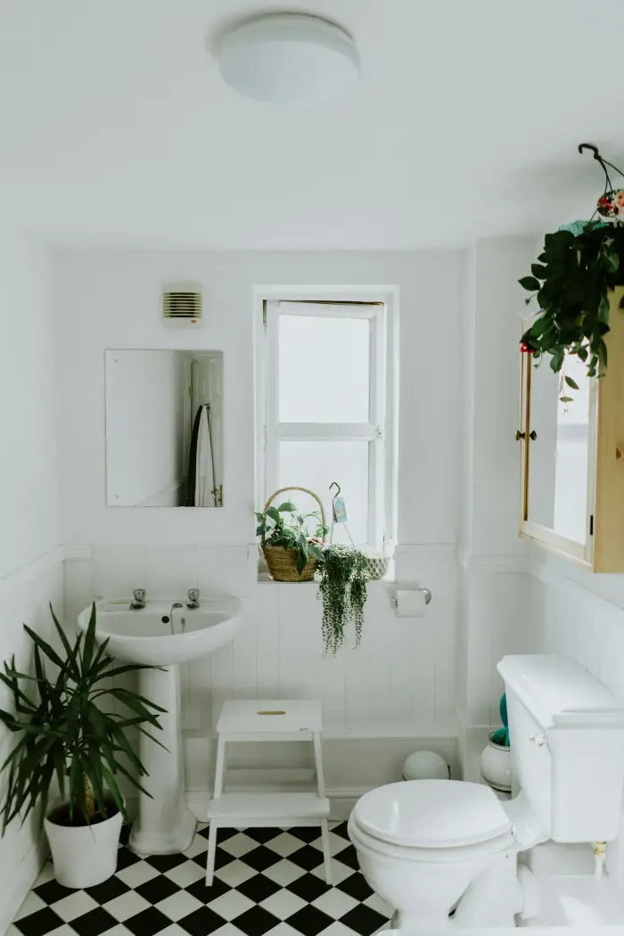 Shower, basins &amp; sanitary