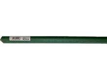 Nature tuteur 240cm 16mm vert
