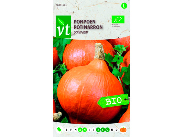VT pompoen uchiki kuri bio