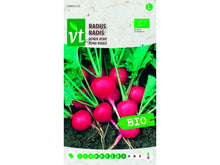 VT radijs rond rood bio