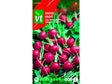 VT radijs saxa rond rood