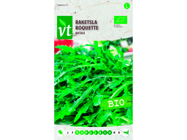 VT raketsla rucola bio