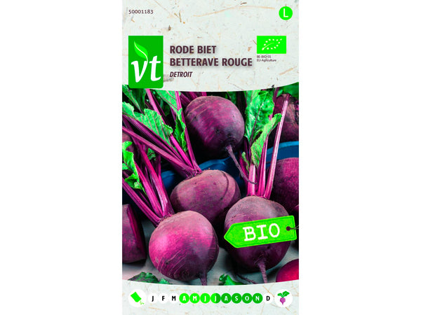 VT betterave rouge Detroit bio