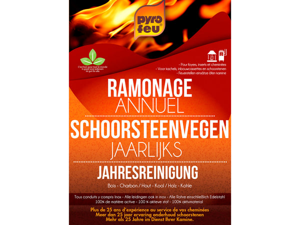 Pyrofeu ramonage bois charbon 3x250 g