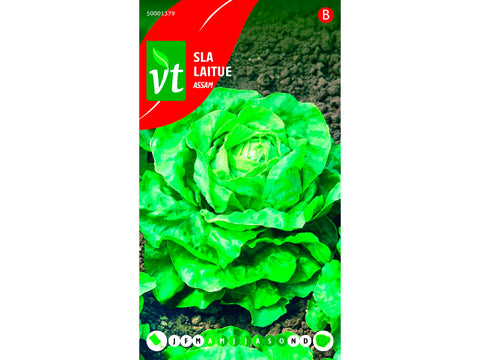 VT sla assam