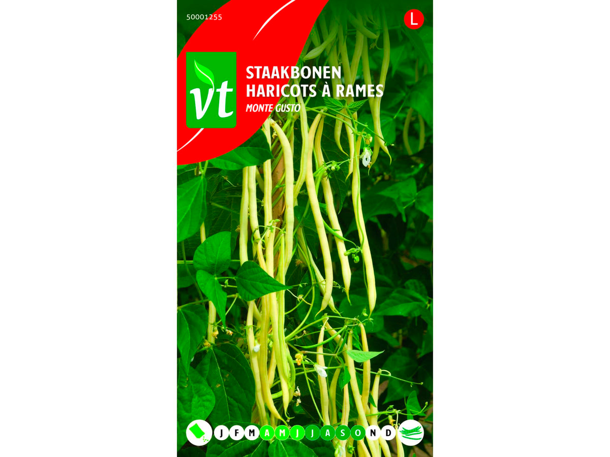 VT staakbonen monte gusto