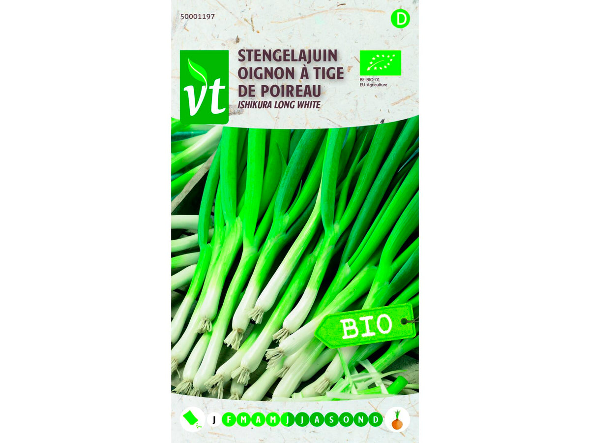 VT stengelajuin ishikura bio
