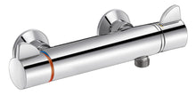 Delabie Securitherm thermostatic mixer shower with manette Ergo