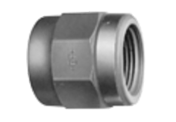 Georg Fischer manchon intermédiaire avec filetage femelle cylindrique D25 x 3/4 F