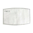 filterS CHARBON PR MASQUE-2PC