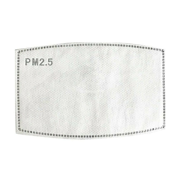 filterS CHARBON PR MASQUE-2PC