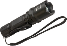BR LUXPR.LAMPE DE POCHE TL250F