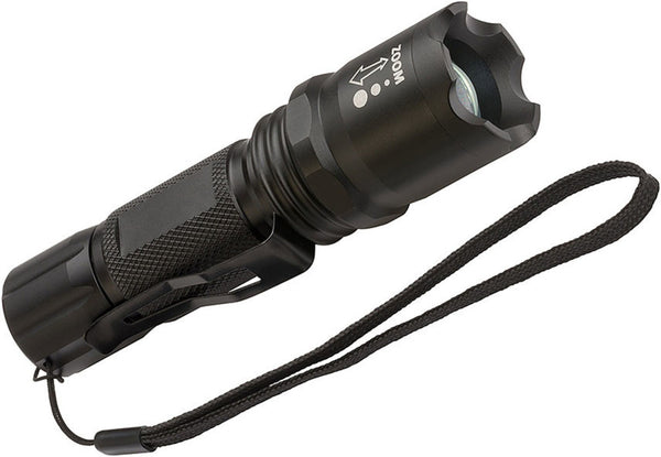 BR LUXPR.LAMPE DE POCHE TL250F