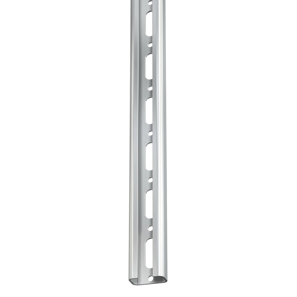 Rail R1 verzinkt 30X15 p/l 2M
