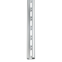 Rail R1 verzinkt 30X15 p/l 2M